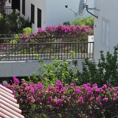 2 Bed 2 Bath In Tamara Fantastic Views! Apartment